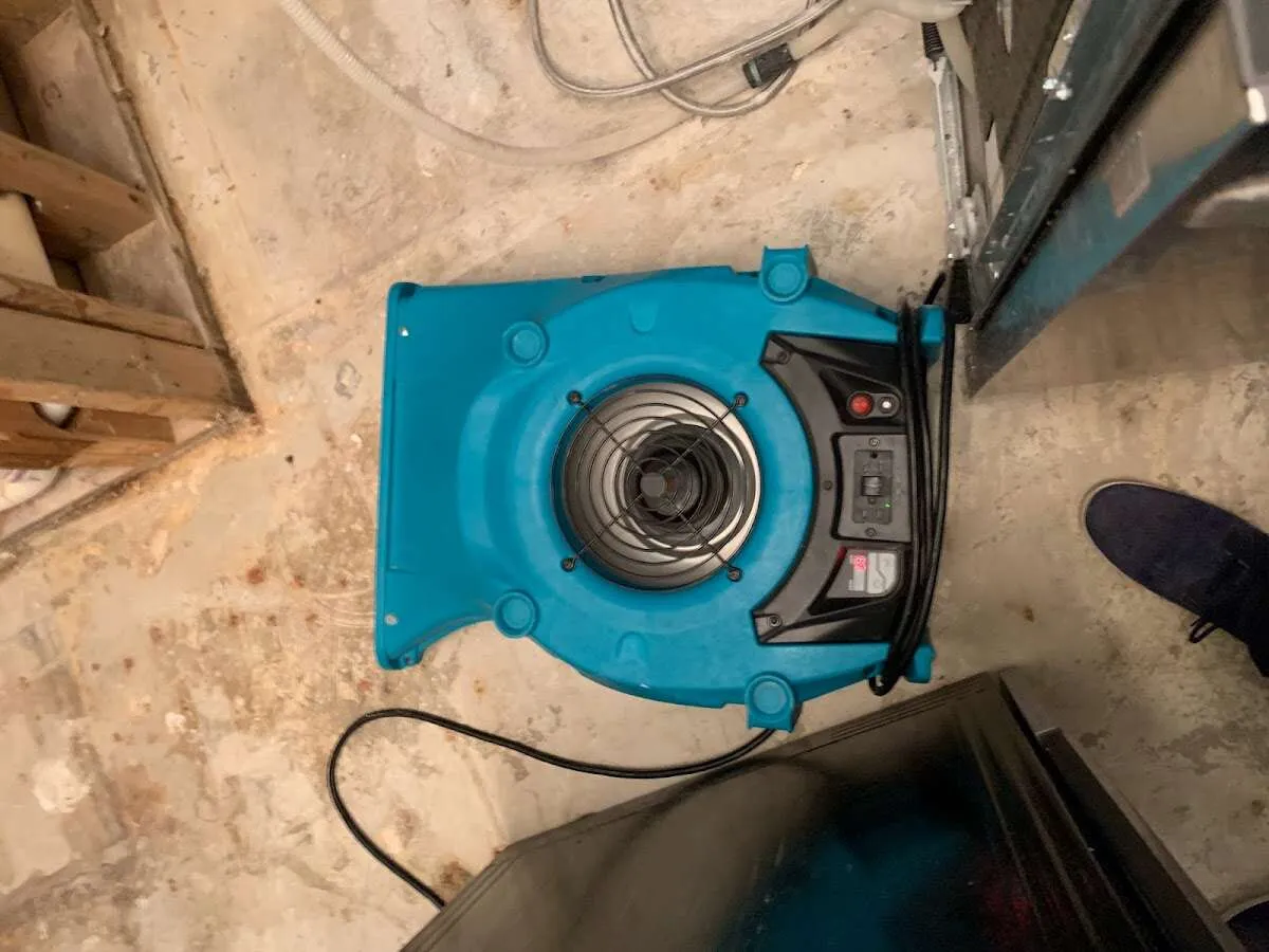 Air mover drying equipment for Mold Remediation & Removal in Peachtree Corners